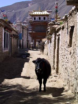 Kairen's_Tibet_71_2001-09-26 12.20.00 IMG_4411G1.JPG